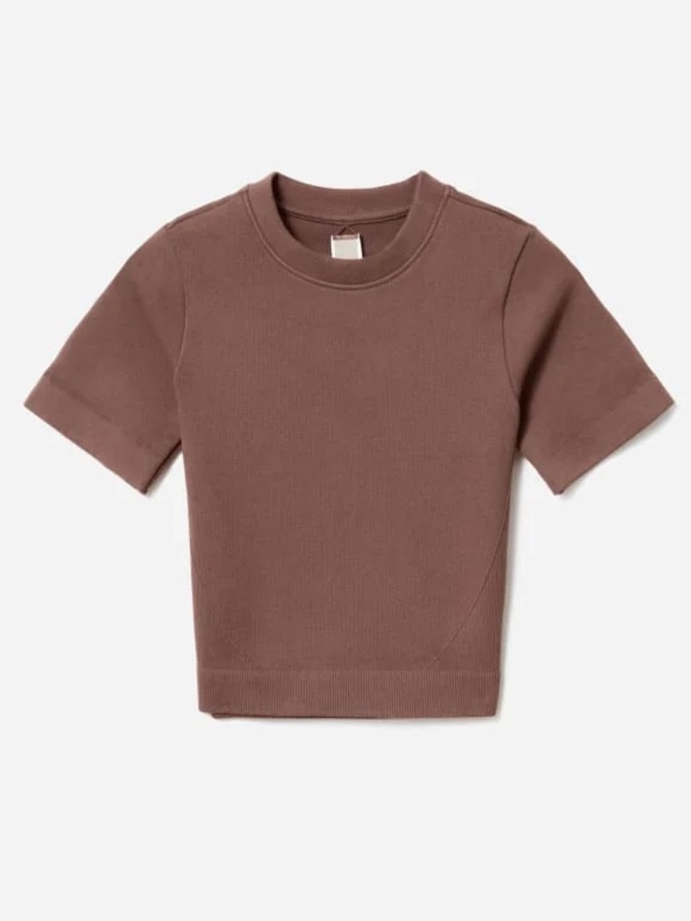 Everlane The Seamless Tee - Acorn Brown Fitted Scoopneck Crop Top